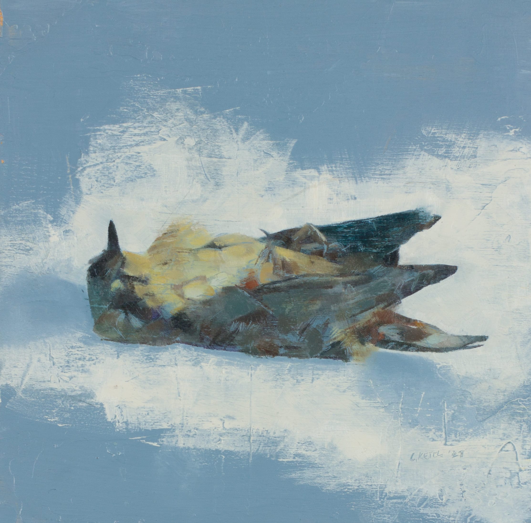 Bird